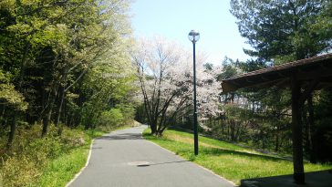 台原森林公園徒歩13分