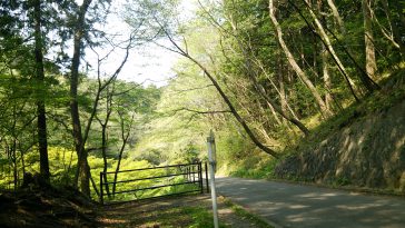 台原森林公園徒歩13分