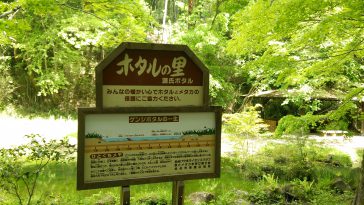マラソン